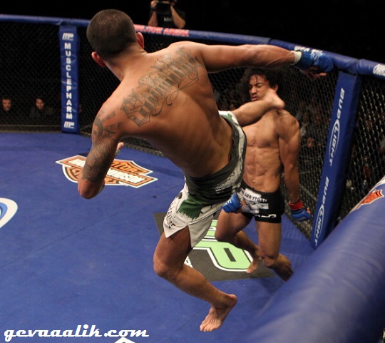 Anthony Pettis Knockout kick
