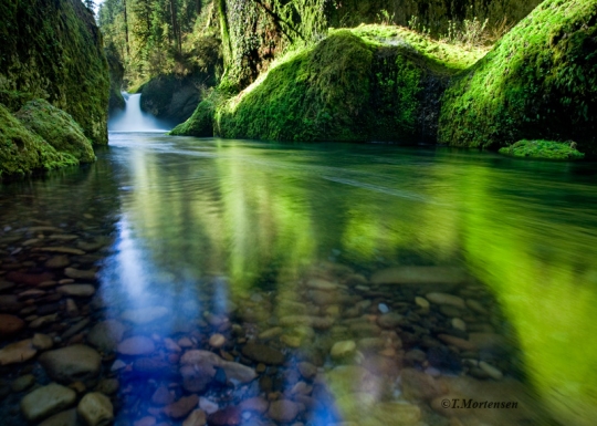 Emerald green rocks line the Columbia River Gorge at Punch Bowl Falls.