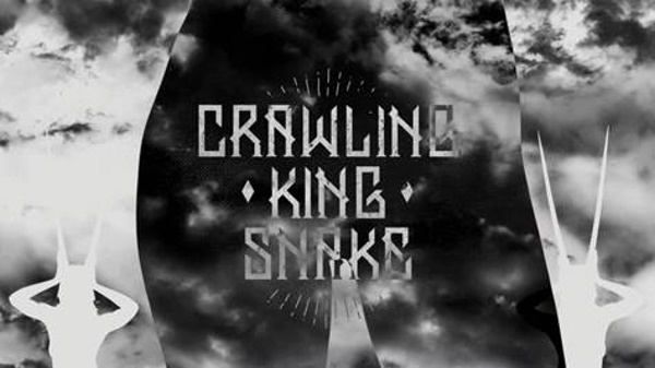 Crawling King Snake - George van der Spuy