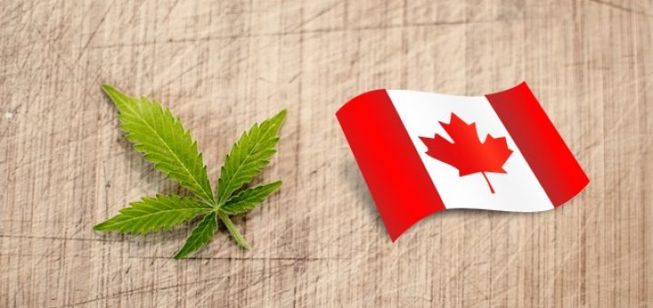 Cannabis oil Canada – What you need to know for 2018