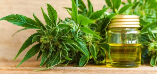 4 of the most common CBD myths