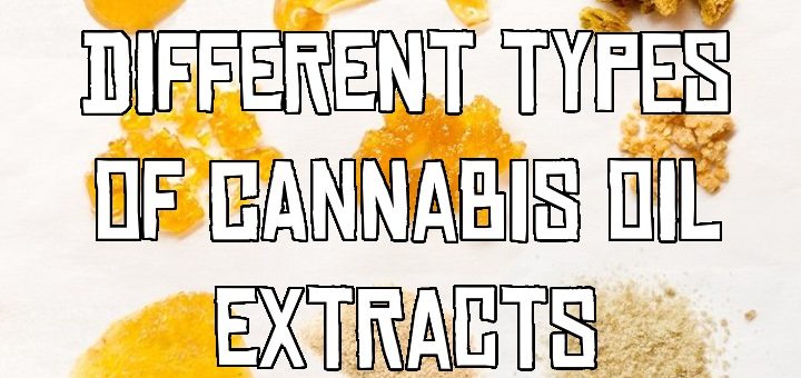 The different types of cannabis oil