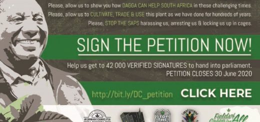Dagga kan Suid-Afrika help