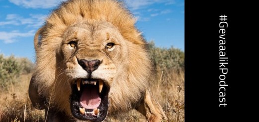 gevaaalik.com Podcast #47 – Lion Whisperer