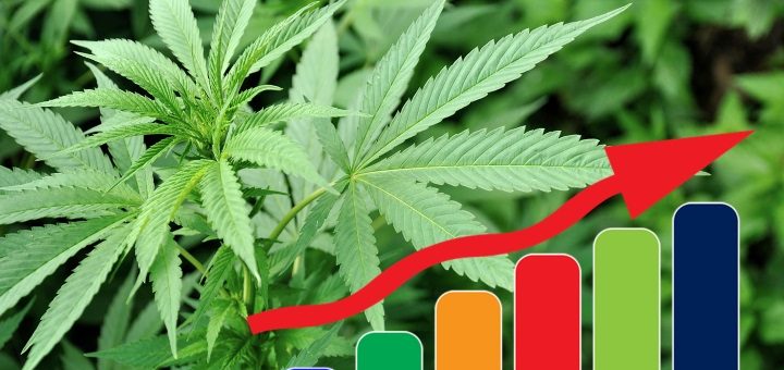 Invest in marijuana stocks rather than Bitcoin