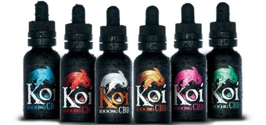 Why you should choose Koi CBD Vape-Oil and discount codes