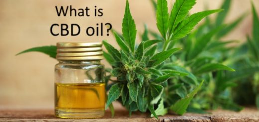 what is CBD oil?