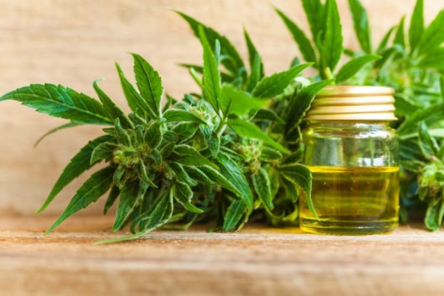 4 Of The Most Common Cbd Myths