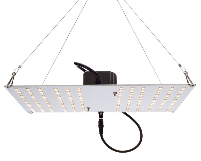 LED Grow Lights for the South African grower