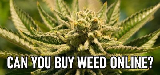 Can you buy weed online in South Africa?