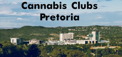 Best Cannabis Clubs in Pretoria – Reviewed